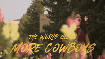 uofwyoming uw wyoming uwyo udub GIF