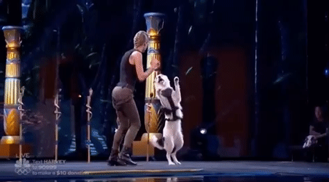 giphyupload nbc agt americas got talent GIF