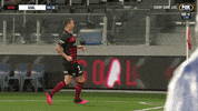 A League Whatever GIF by Hyundai A-League