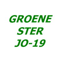 Heerlen Sticker by Groene ster
