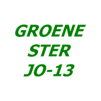 Heerlen Sticker by Groene ster