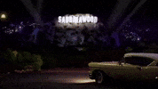 Sabrina Carpenter Coachella GIF by Respective