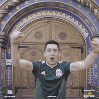 el tri soccer GIF by La Suerte No Juega