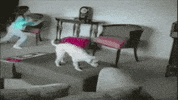 GIF by Demic