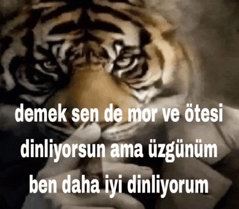 Loaxar giphyattribution giphycreatortest GIF