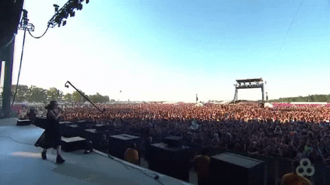 bonnaroo 2016 GIF by Bonnaroo Music and Arts Festival