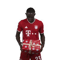Bayern Christmas Sticker by FC Bayern Munich