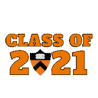 Class Of 2021 Sticker by Princeton University