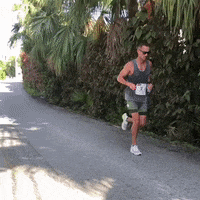 GIF by Bermemes
