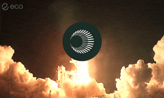 To The Moon Crypto GIF by Eco