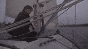 GIF by Partisan Records
