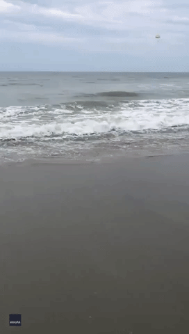 Shark Seen Swimming Within Meters of Shore at North Myrtle Beach