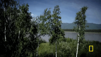life below zero GIF by National Geographic Channel