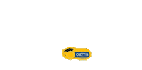 Baile Formando Sticker by Orttis Eventos
