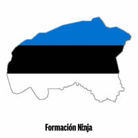 Flag Bandera GIF by Formación Ninja