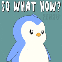What Now Penguin GIF by Pudgy Penguins