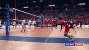Friends Smile GIF by Volleyball World