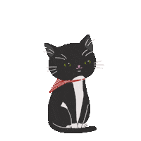 Fat Cat Sticker
