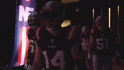 Football Nod GIF by New England Patriots
