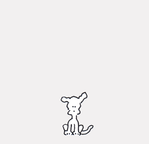 chippythedog giphyupload chippythedog GIF