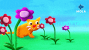 Cat Fun GIF by Mola TV Kids