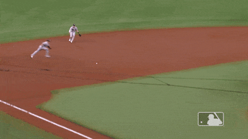 New York Sport GIF by MLB
