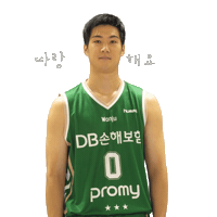 원주Db Sticker
