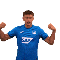 Sport Bundesliga Sticker by TSG Hoffenheim