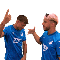 Sport Bundesliga Sticker by TSG Hoffenheim