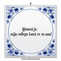 Humor Nl GIF by Tegelspreuken.nl