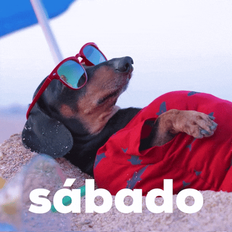 Sรกbado
