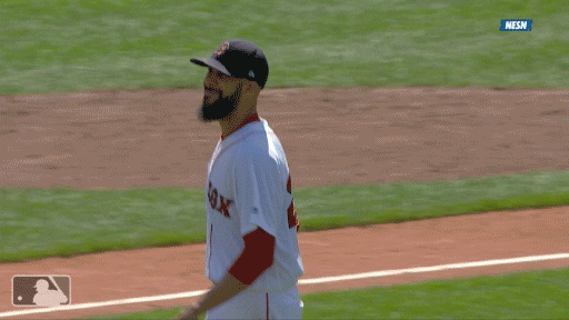 david GIF by MLB
