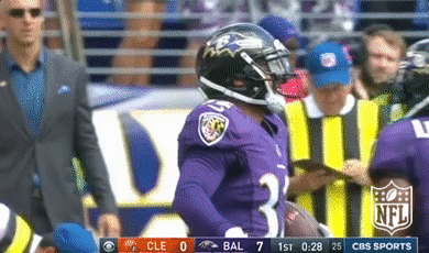 Baltimore Ravens Football GIF by NFL