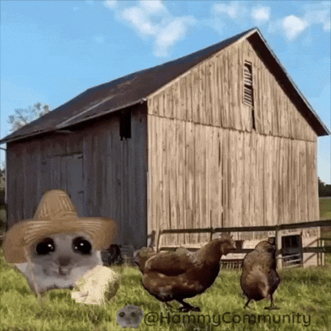 Hat Coin GIF by Sad Hamster