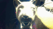 season 2 animation GIF by DREAM CORP LLC