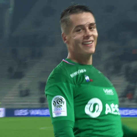 Celebration Goal GIF by AS Saint-Étienne