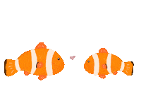 Nimo Kiss Sticker
