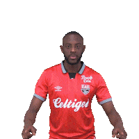 Football Footy Sticker by EA Guingamp