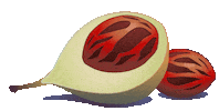 Coca Cola Spice Sticker