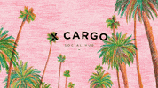 xcargo drinks brisbane palmtrees socialhub GIF