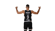Partizan Sticker by sportmts