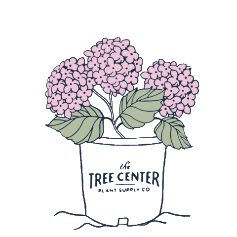 Flowers Blooming Sticker by The Tree Center