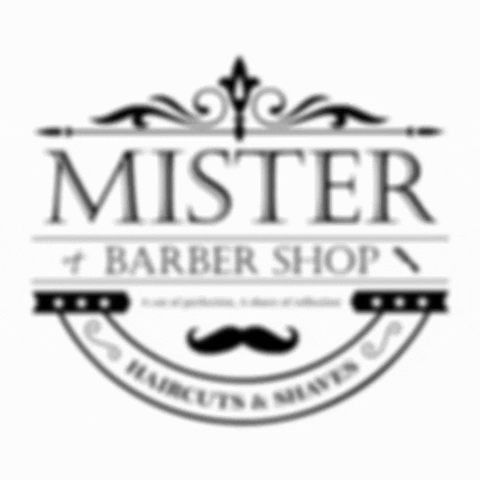 Mister_Baber_Shop guatemala baber bemister misterbarbershop GIF