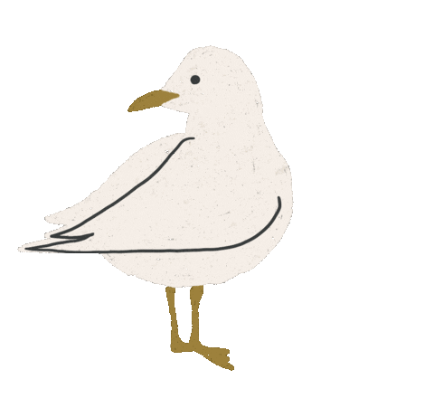 Animated Sticker