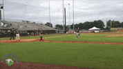 gastonia grizzlies oops GIF by Coastal Plain League