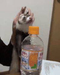 Angry Push GIF by Respective
