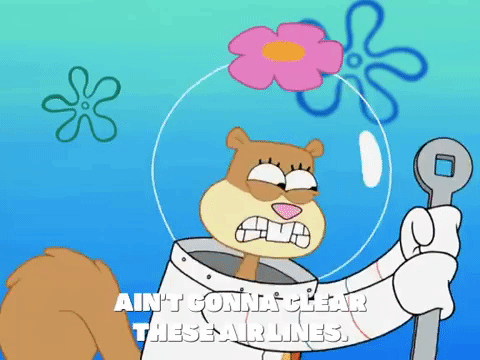season 8 bubble troubles GIF by SpongeBob SquarePants