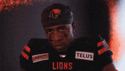 Football Celebration GIF by BC Lions