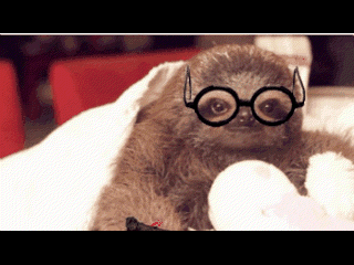 harry potter sloth GIF
