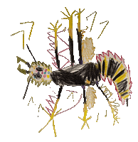 Colorfulchan Sticker